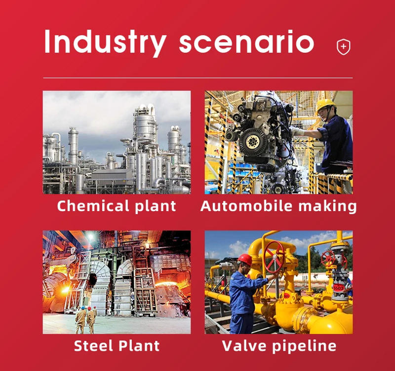 Description Picture 3 of itemBOZZYS Nylon PA Lock Body Grip Stainless Steel Cable Lockout Devices Tagout Can be Customized