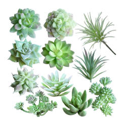 11Pcs Artificial Succulents PVC Simulate Miniature Succulent Plant DIY Craft Unpotted Home Garden Decor Desktop Table Decoration