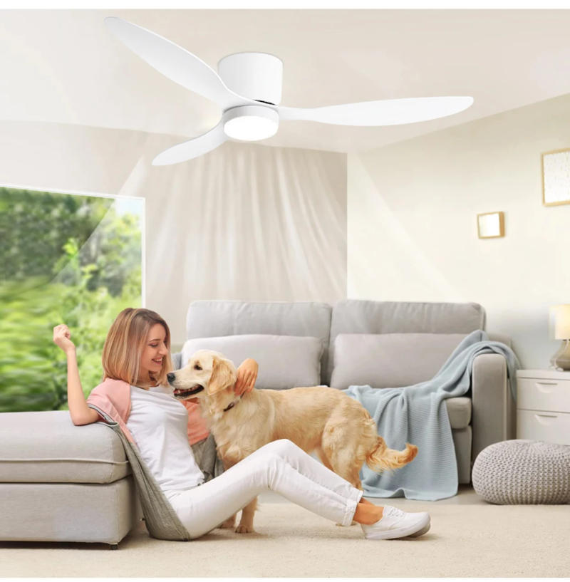 Description Picture 6 of itemModern Ceiling Fan with LED Light, DC Motor, Large Air Volume, Remote Control for Kitchen, Bedroom, Dining Room, Patio