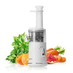 Mini Slow Juicer Portable Electric Juice Extractor Lemon Fruit Juice Maker Blender Easy Clean Can Make Ice Cream Mini-Pro
