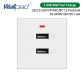 2 USB Fast Charger