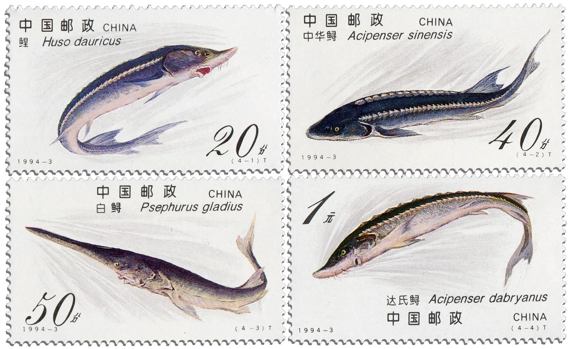 Description Picture 2 of item1994-3 , Sturgeon . Post Stamps , 4 pieces , Philately , Postage , Collection