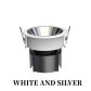 WHITE AND SILVER