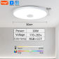 30W White