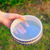 Slide image ea9ad89054964f19872cb8d28e7724d3