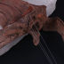 Slide image 741cf123cea544c9952777cabbc9f666