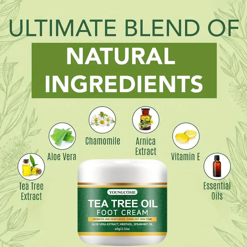 Description Picture 6 of itemFoot moisturizer with aloe vera and tea tree oil to deeply nourish the skin, for dry and rough skin, daily hand and foot care