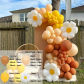76pcs Brown Daisy