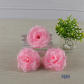 rose 8cm pink