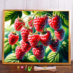Fruit Raspberry Pre-Printed Cross Stitch DIY Embroidery Full Kit Knitting Handiwork Handmade Needlework Magic Gift Room Decor