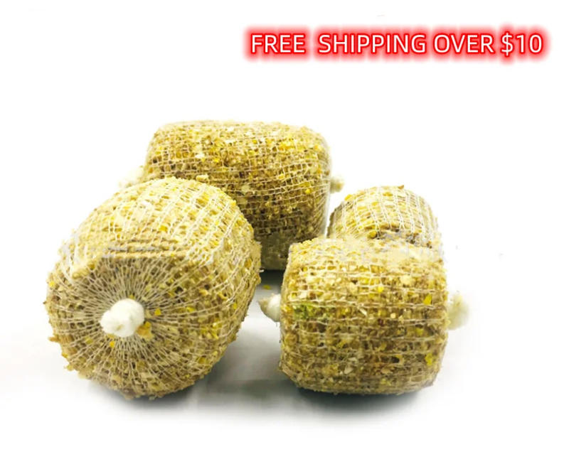 Description Picture 4 of itemNet Trap for Fish Single Layer Mesh Fishing Carpfishing Fishnet Freshwater Sport Monofilament Articles Equipment Material Float