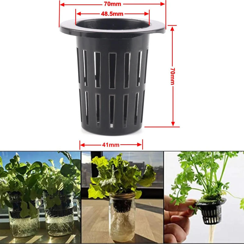 Description Picture 4 of item25PCS Hydroponic Pot Net Cup Hydroponic Soilless Mesh Net Basket Plant Veg Grow Nursery Cup Pot Garden Plant Basket