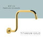 34N Gold