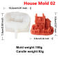 house mold 02