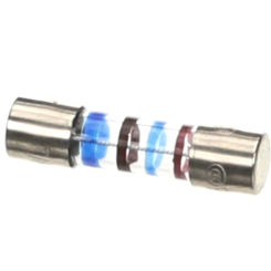 Electrolux Professional 002820 Fuse, 160MA, 250 Volt, Slow Acting