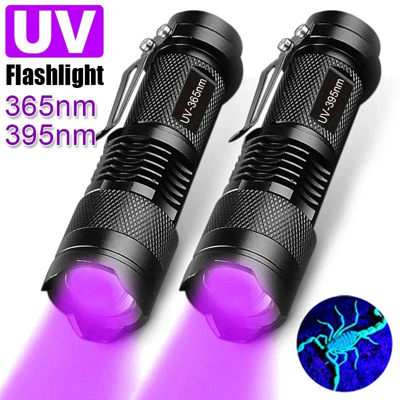 Description Picture 3 of itemMini LED UV Flashlight Ultraviolet Zoomable Torch Ultra Violet Lights 395/365nm Inspection Lamp Pet Urine Stain Detector Tools