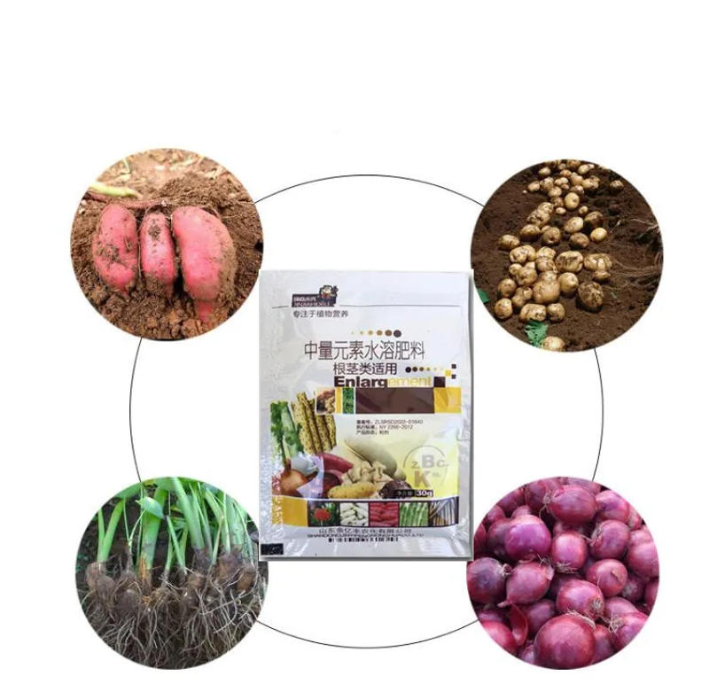 Description Picture 5 of item30g/Pack Special Tuber expansion Fertilizer Promote Growth Regulating botany Rhizome Crop Vegetables Home Garden Supplies