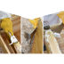 Slide image ebdbfd77cadf467b87b66ea5aeda2216