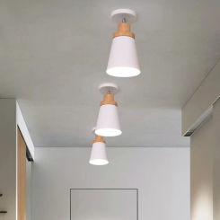 LED Ceiling Lamp Modern Simple Iron Art Home Aisle Lighting Illumination 5㎡-10㎡ Lighting for Living Room Modern Ceiling Light