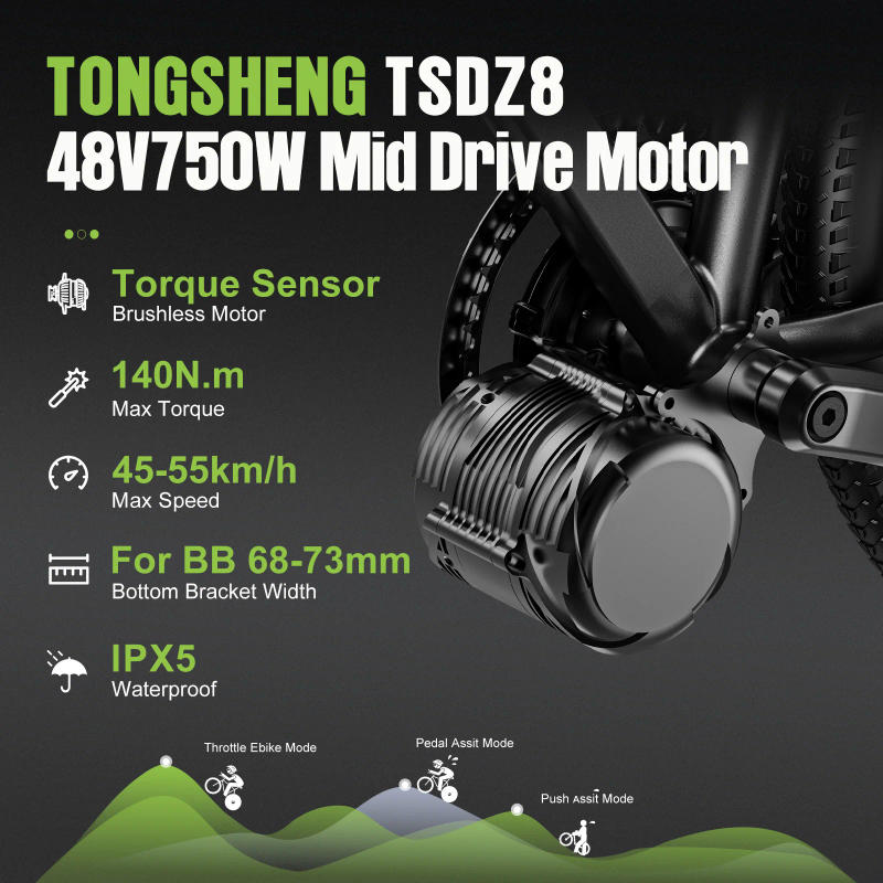 Description Picture 4 of itemTongsheng 750W 500W Mid Motor Kit TSDZ8 TSDZ2B Torque Sensor Ebike Engine Electric Bicycle Conversion Kit 48V 13Ah 20Ah Battery