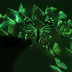 Slide image fa96998326484e6c84c0a17988163b14