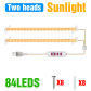 2-Pack-Sunlight