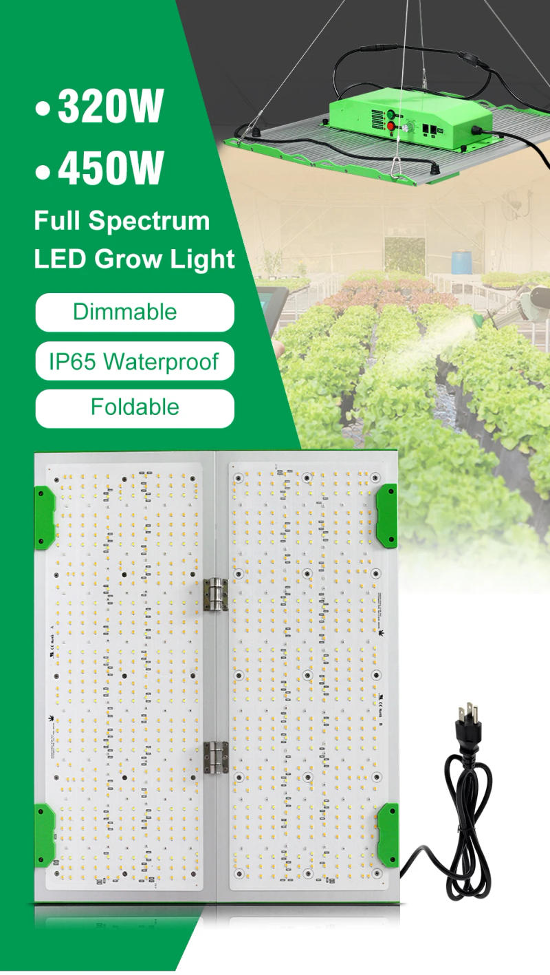 Description Picture 2 of itemFlodable Full Spectrum LED Grow Light 281PRO 320W 450W For Hydroponic Growing Lamp Plants Phyto Veg Flowers