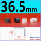 36.5mm