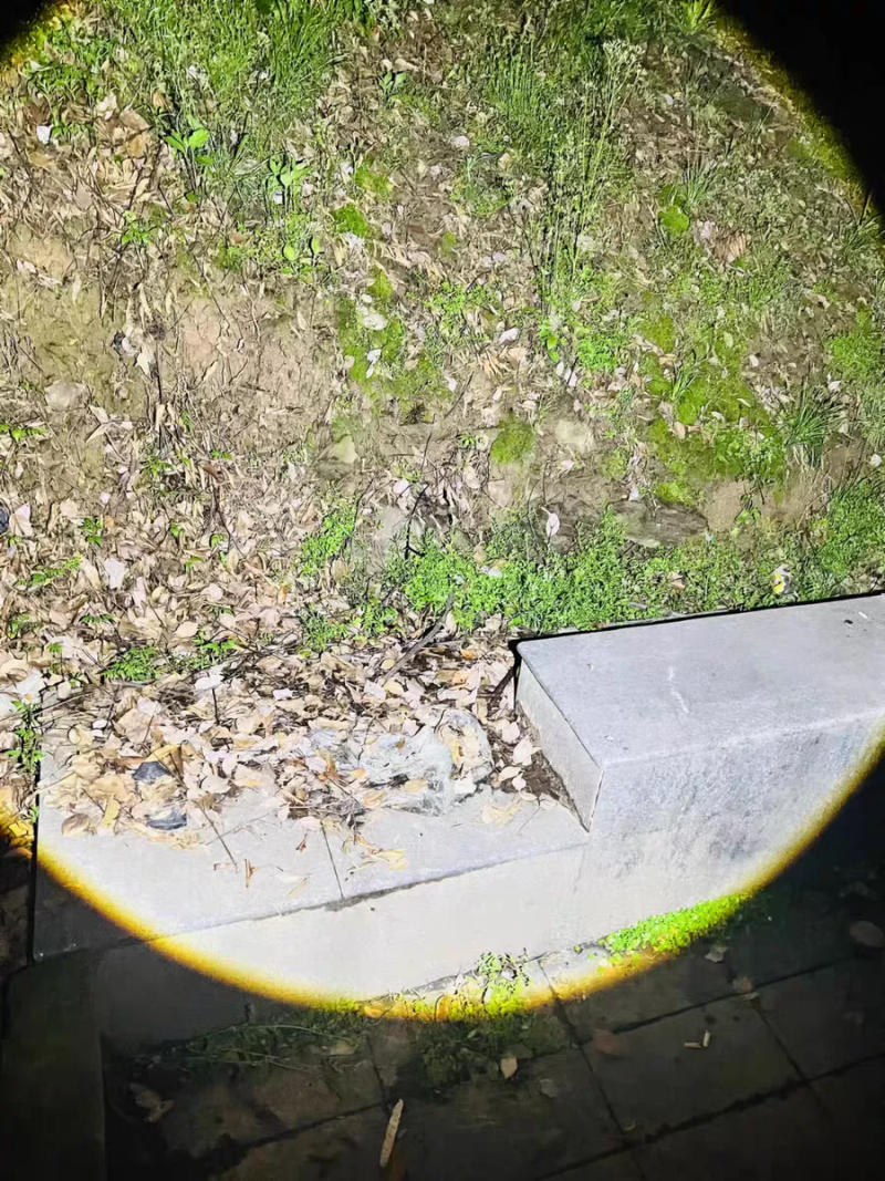 Description Picture 2 of item99000 Lumens Super Powerful Headlamp USB Rechargeable LED Headlight Zoom Headlight 18650 Fishing LED Head Flashlight Flashlight