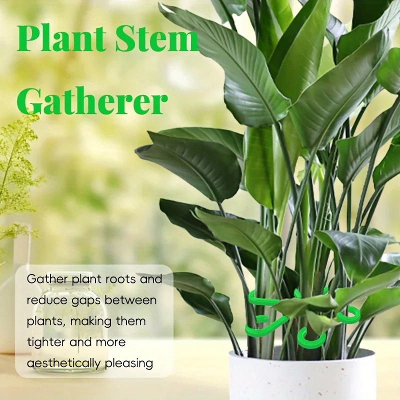 Description Picture 3 of item4 Piece Set Of Plant Stem Clips For Indoor Climbing Plants Plastic Plant Stands Flower Stem Gathering Clips Gardening Tools