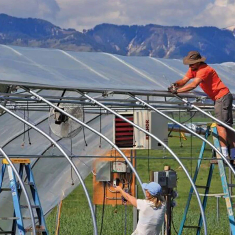 Description Picture 4 of itemClear Greenhouse Film Polytunnel Greenhouse Cover VARIOUS LENGT For Grow Tent Room Garden Plants Flowers Agriculture