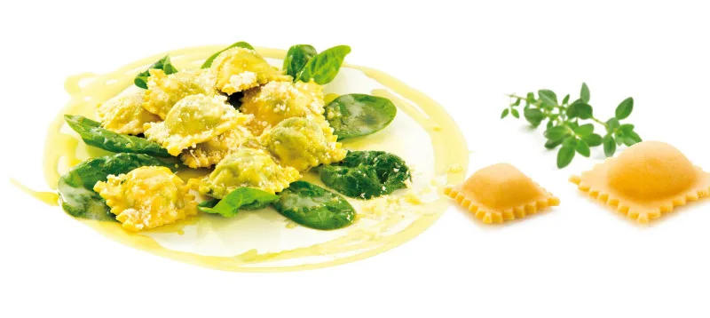 Description Picture 3 of itemRavioli Molds Homemade Filled Pasta Maker Dumpling Press Ravioli Maker Mould Ravioli Stamp Cutter Mold with Tray and Press