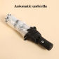 Automatic-Panda