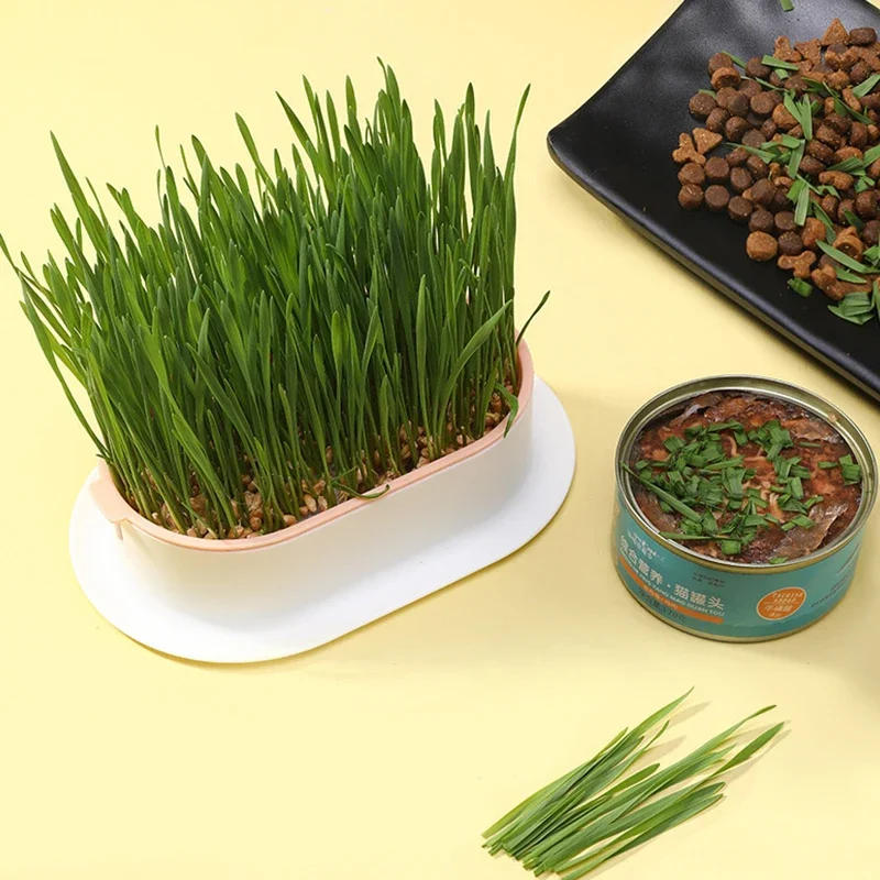 Description Picture 6 of itemPet Germination Plant Digestion Growing Pot Tray Grass Starter Nursery Hydroponics Grow Dish Box Cat Greenhouse