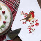 Robin 1