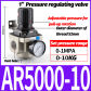 AR5000-10