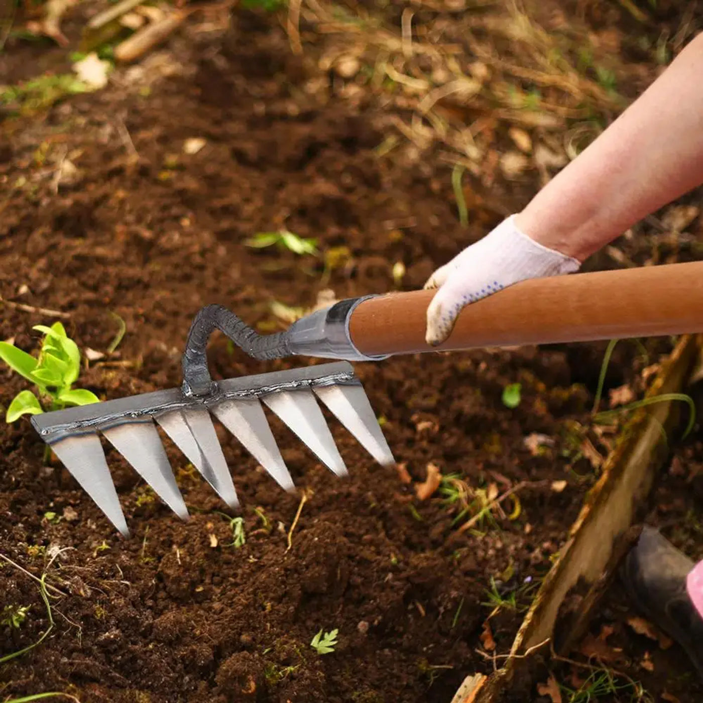 Description Picture 4 of item4/5/6/7 Teeth Iron Gardening Hoe Weeding Rake Farm Tool Grasping Raking Loosening Soil Nail Rake Agricultural Tools
