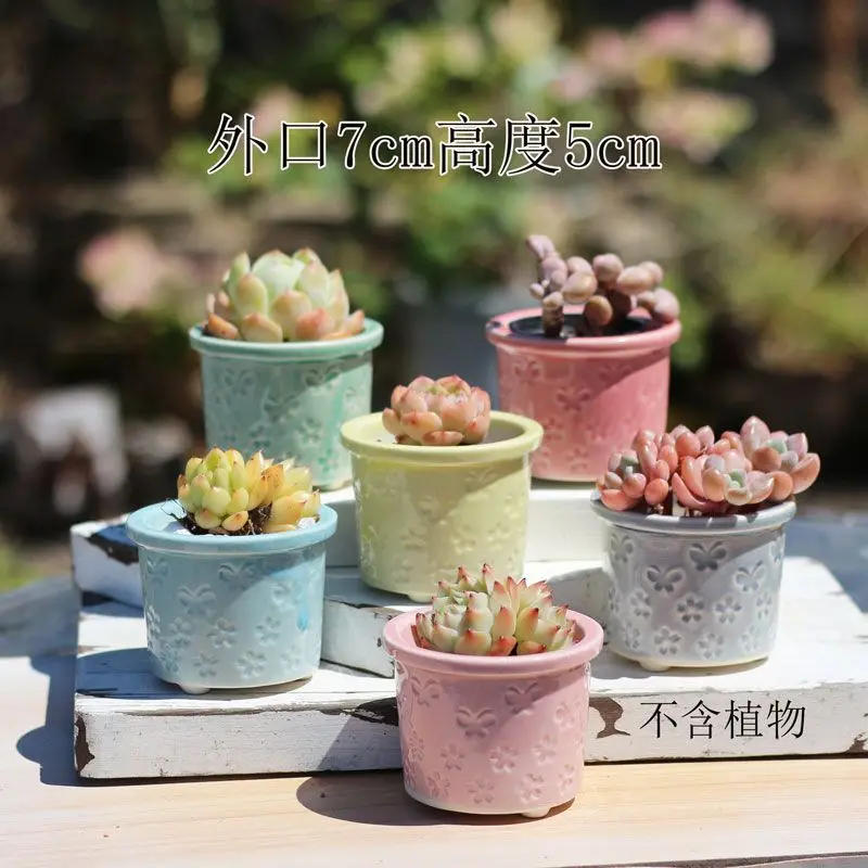 Description Picture 5 of itemCombination Ceramic Breathable Small Flowerpot Cute Thumb Succulent Plant Flowerpot Home Mini Garden Bonsai Potted Flower Pot