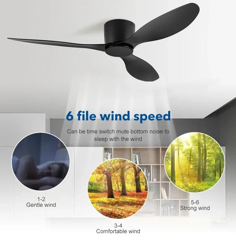 Description Picture 6 of itemIFF Ceiling Fan Without Light Modern Style Low Floor Black and White DC Motor Remote Control