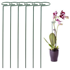 6pcs Plant Stakes For Climbing Plant For Flowers Single Garden Orchid Plant Stakes Rose Flower Stem Stem Plant Support