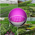 Slide image 24d5bc3f039b417fa11181c55dee703a