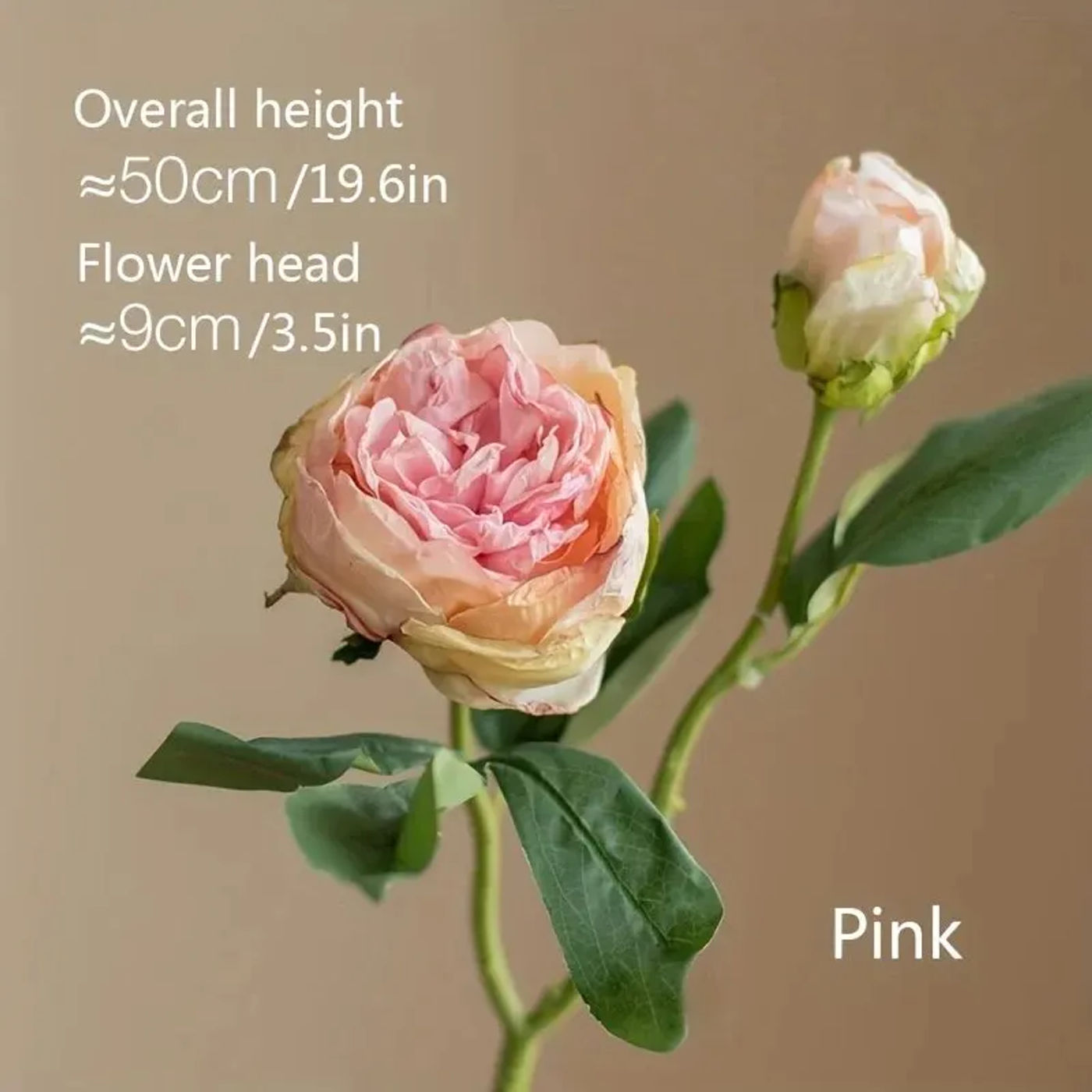 Slide 1b32ebcdacb84b25a962dbc67283ff97