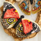 Embroidery Kit-A