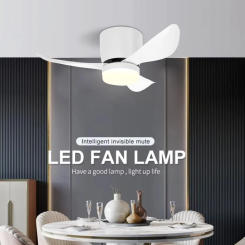 Low Floor Modern LED Ceiling Fan with Variable Frequency DC Remote Control, Household Use, Ventilation Fan, Fan with Lights