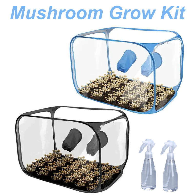 Description Picture 2 of itemStill Air Box Mushroom Grow Kit Portable Compact Still Air Box Mycology Mushroom Fruiting Chamber Grow Tent for Home Scientists