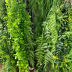 Slide image b20009b6aa13450a9c84caad9caddb72