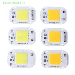 LED Chip 20W 30W 50W AC110 220V Smart COB Lamp Beads LED Lamp Without Driver DIY Lampada Outdoor Chip Light Floodlight Spotlight