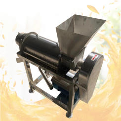 Industrial Juice Extractor Stainless Steel Coconut Milk Garlic Ginger Graper Juice Extractor Screw Power Juicer
