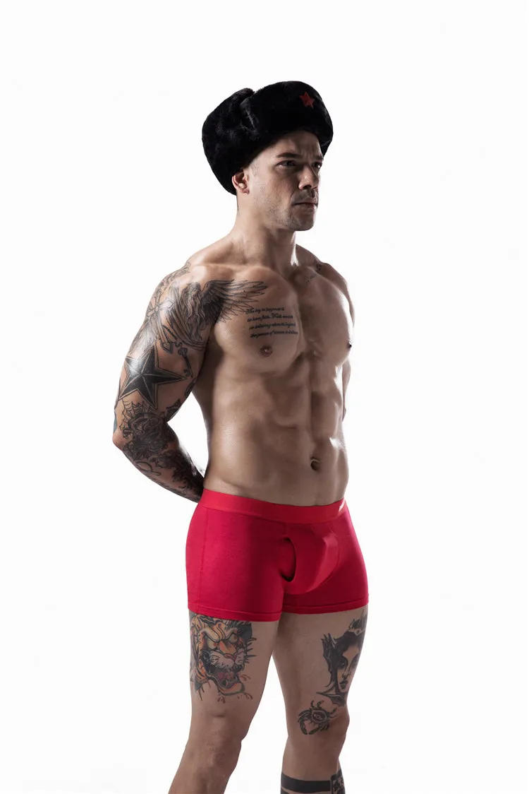 Description Picture 4 of itemSexy Underwear with Hole Male Boxershorts for Man Undrewear Breathable Cotton Men's Panties