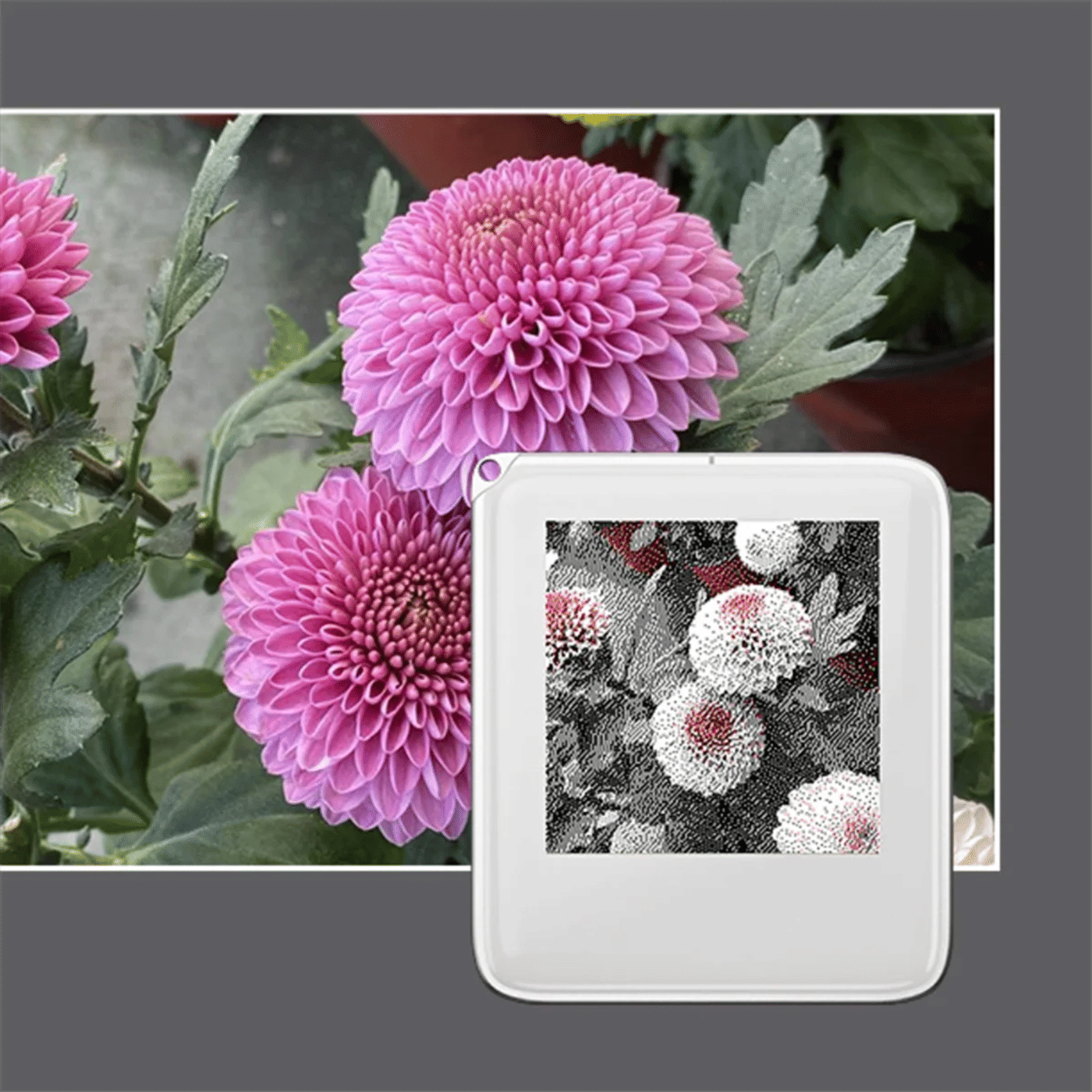 Slide cef22a03d80d4ca4a650a023bb0f94a9